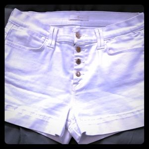 7 for all mankind shorts